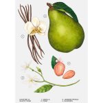 عطر زنانه SULTRY PEAR زارا - تصویر 4