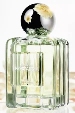 عطر SHADES OF NOSTALGIA زارا - تصویر 5