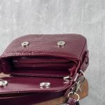 کیف کوچک زنانه در 5 رنگ کد 356 - تصویر 2