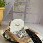 کیف زنانه کوچک زنانه در سه رنگ طرح دیور