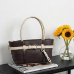 کیف مدل دخترانه سگک دار رنگ قهوه ای